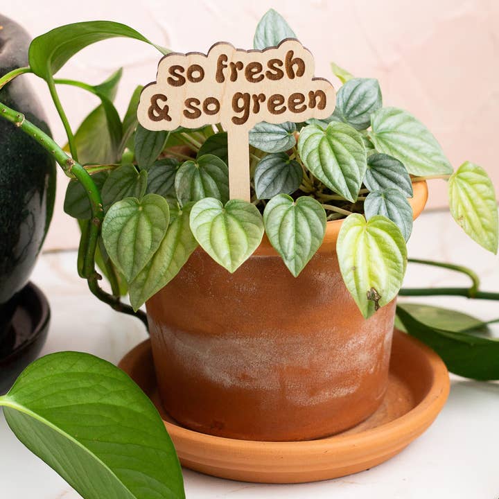 The Print Pantry - Wholesale Garden/Lawn Stake - Retro Funny Wooden Plant Markers