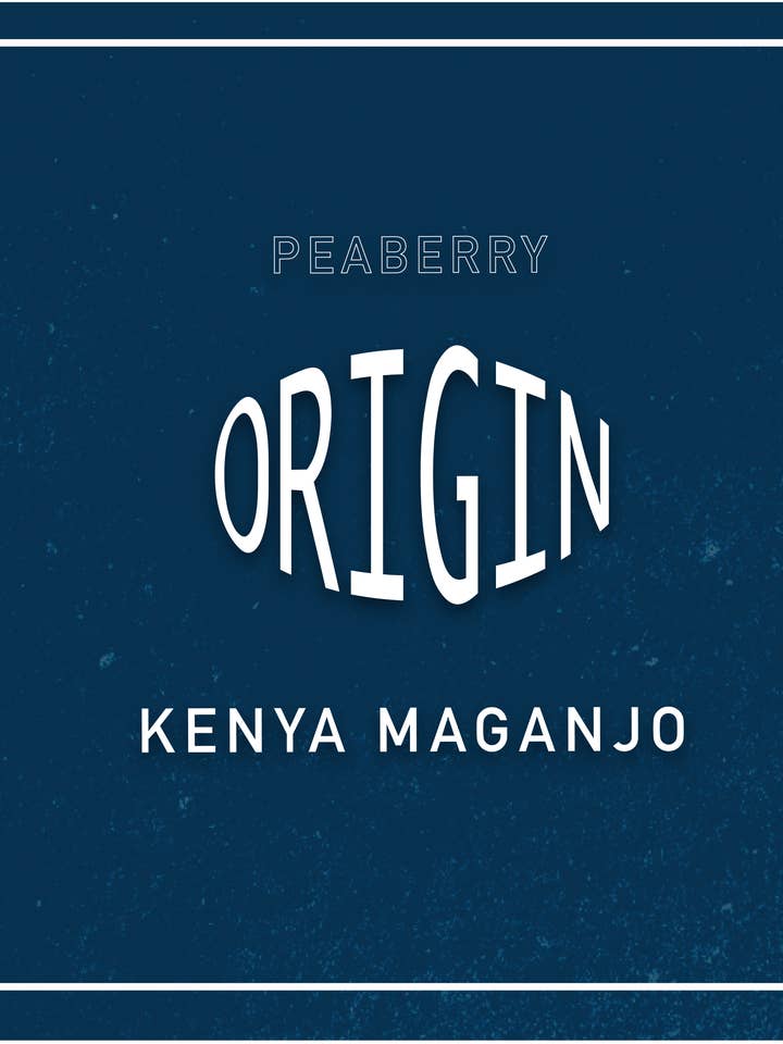 Kenya Maganjo for wholesale by Banlieue Coffee