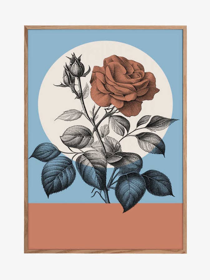 Botanica a colori per la vendita all'ingrosso da parte di Pictufy Wholesale