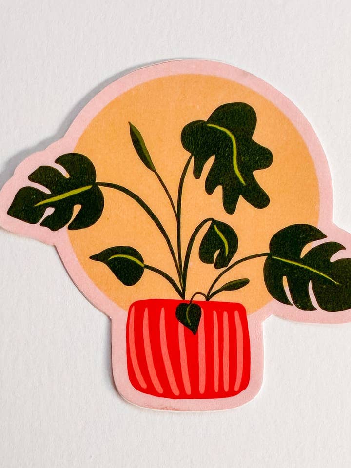 Monstera | Laptop Sticker for wholesale by Courtney Going Places
