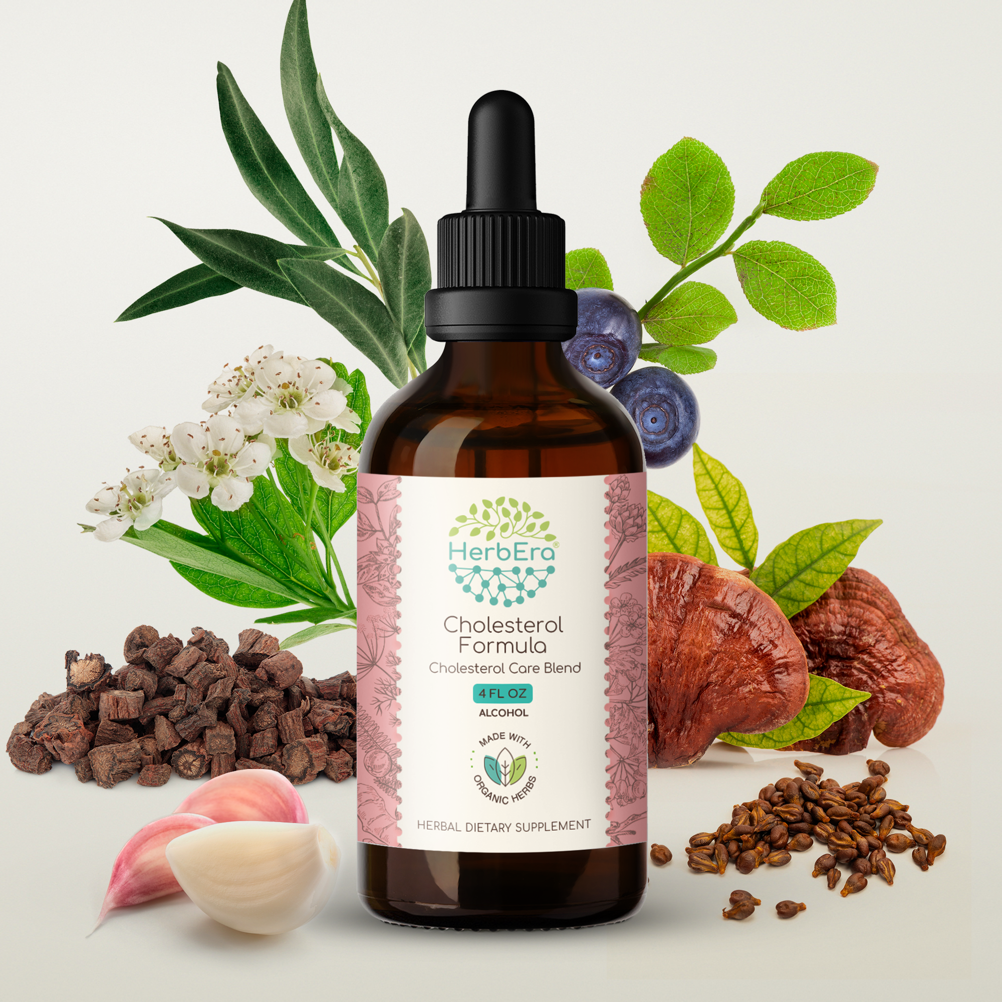 HerbEra - Wholesale Tincture - Cholesterol Formula Tincture14