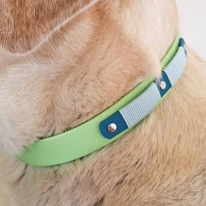 Collier pour chien - Biothane Signature - Vert pomme pour la vente par Truffe & Flair