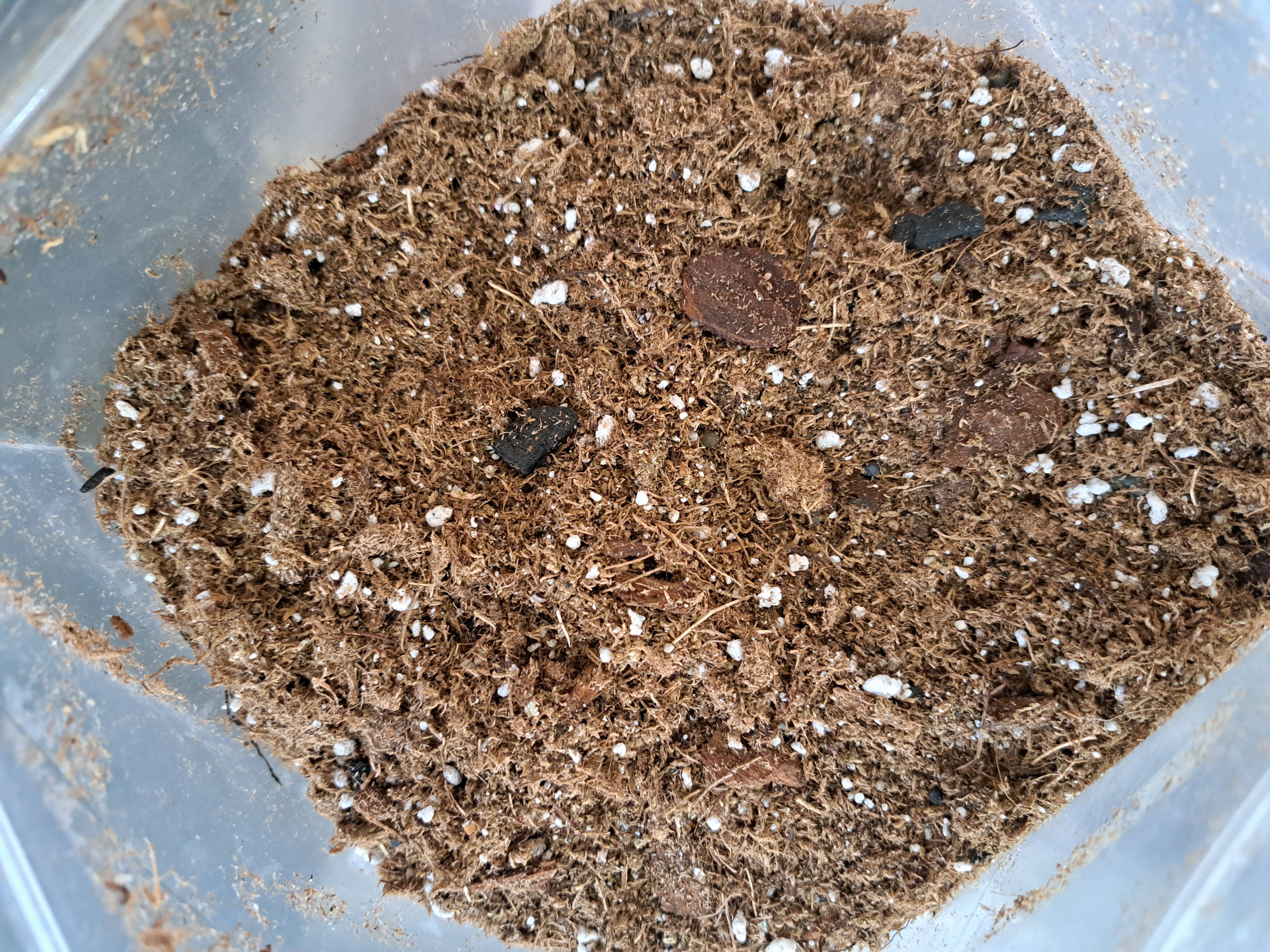 The plant project - Wholesale Planting/Potting Soil - Dry Guy Hand Mixed Soil Blend1