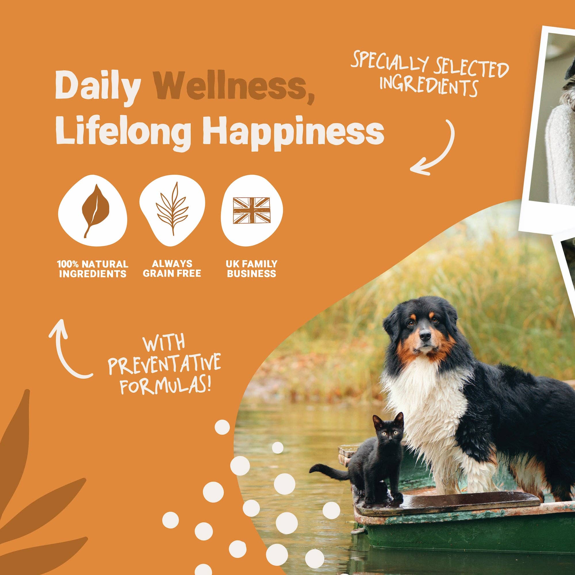 Pets Purest – wholesale Pet supplement – Cat/dog – Daily All-Itch Supplement 300ml7