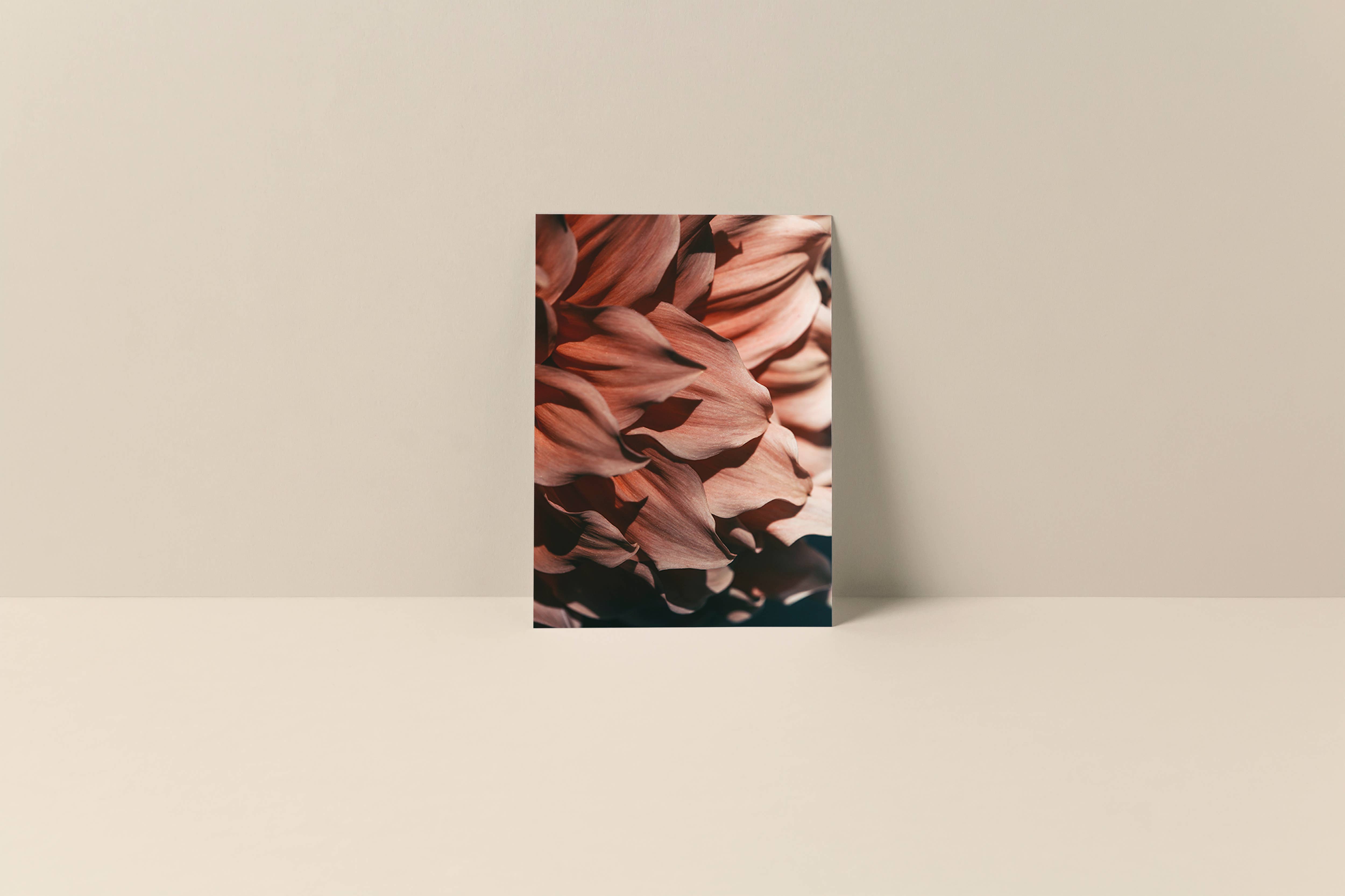 Alicia Bock Print Shop - Wholesale Stationery/Notecard Set - Blank Note Card - Drama Queen1