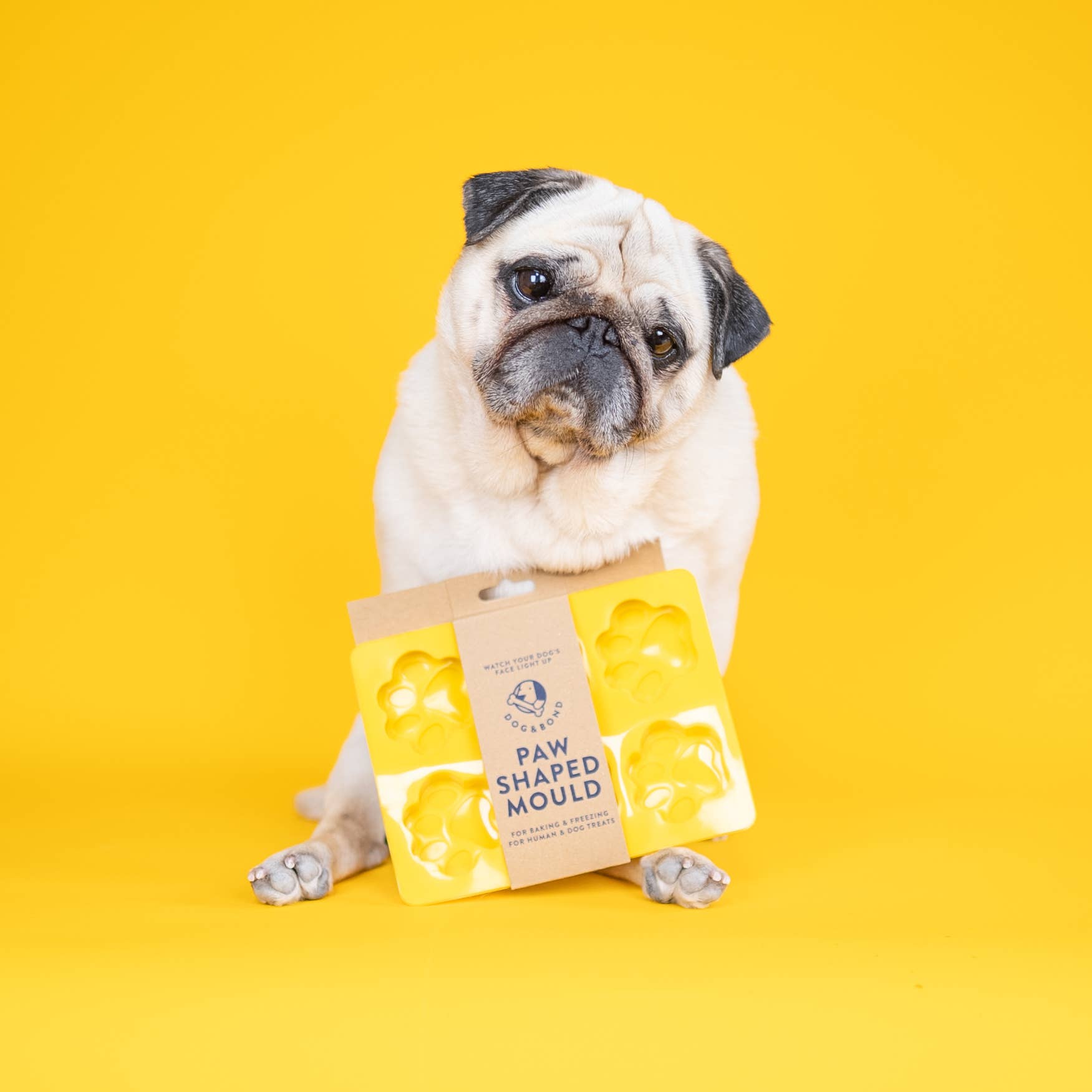 Dog & Bond – Award-Winning Pet Gifts & Dog Treat Kits – wholesale Chocolate/candy mould – 6-Paw Silicone Mould for Baking and Freezing 2-Pack, Yellow