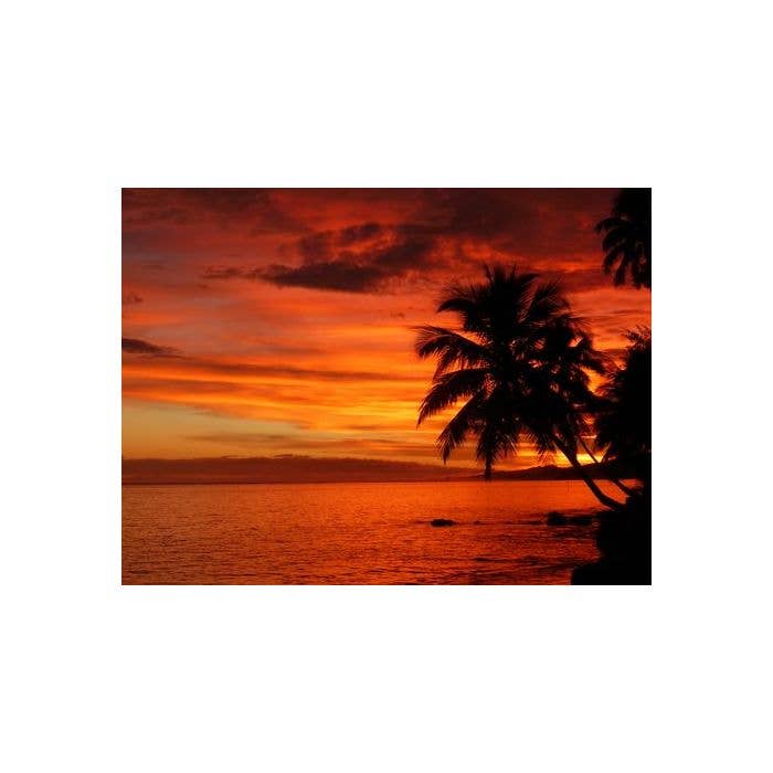 Fiji Sunset Geurolie voor kaarsen, waxmelts voor wholesale door Blossom Oils