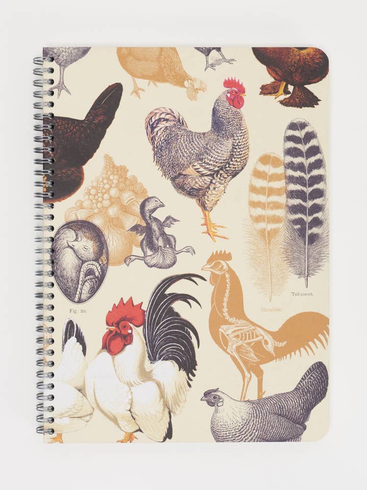 Aves del Jardín: Cuadernos de Espiral con Gallinas (Caja de 6) para venta al por mayor de Cognitive Surplus