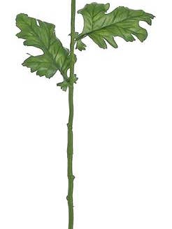 Mum X 1, 30", Plum for wholesale by Select Artificials, Inc.