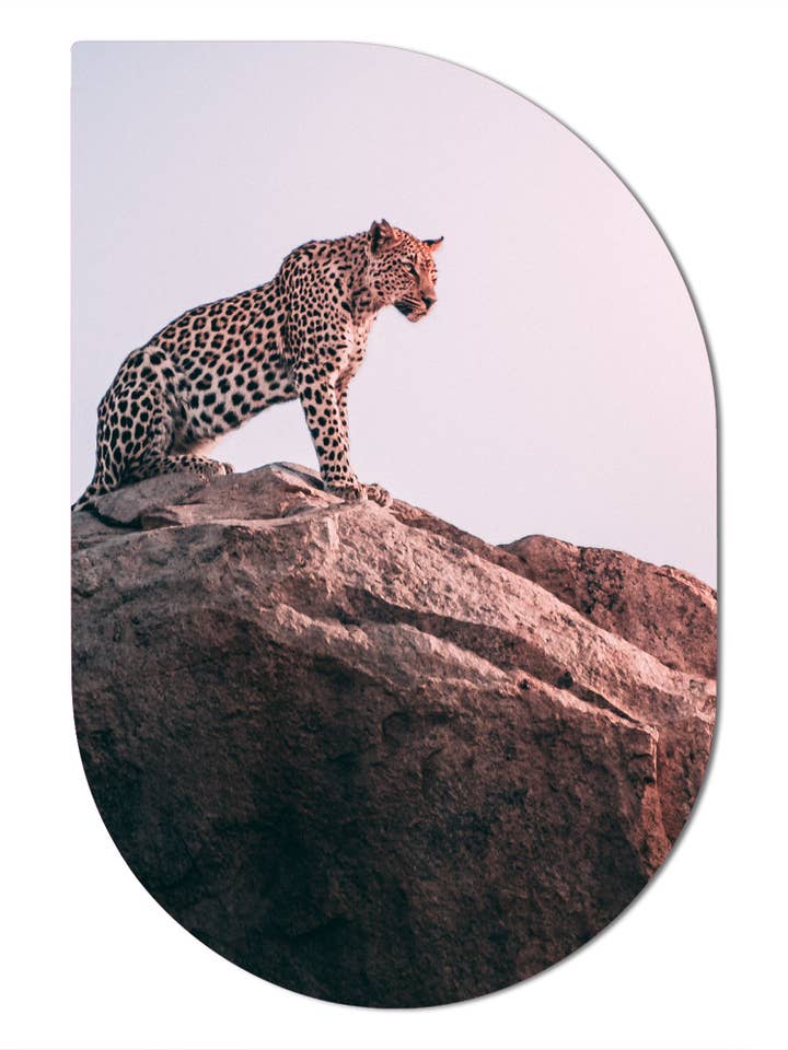 Montanha de Leopardo ScandiArt por atacado de Label2X B.V.