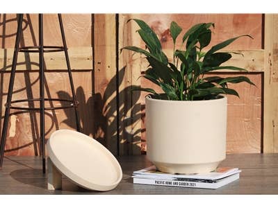 Pacific Home & Garden - Wholesale Planter Box - Mid Modern Ivory Clay Planter With Detached Saucer3
