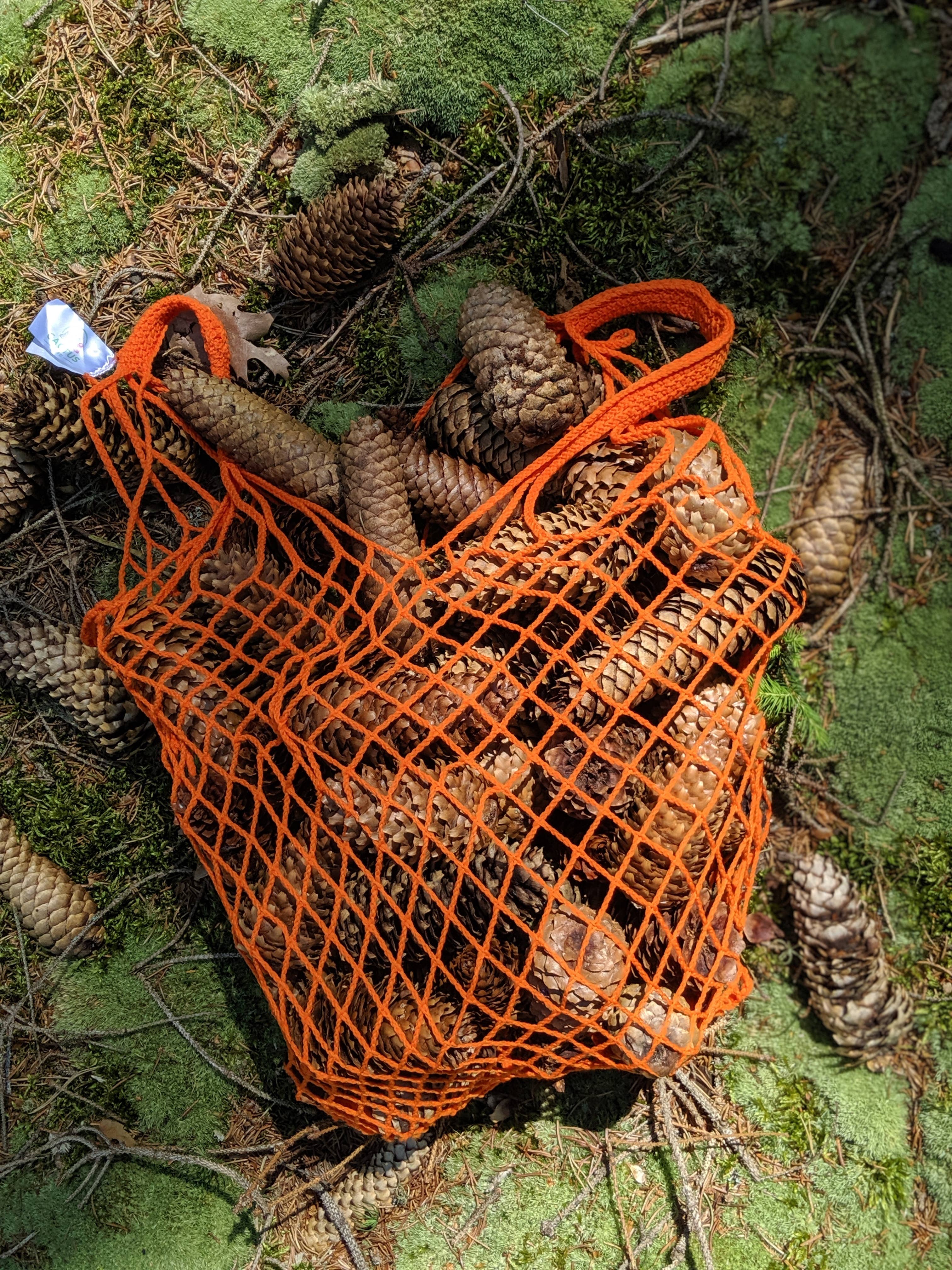 Cactus Bag - Wholesale Grocery/Shopping Bag - Orange Tangerine Bag2