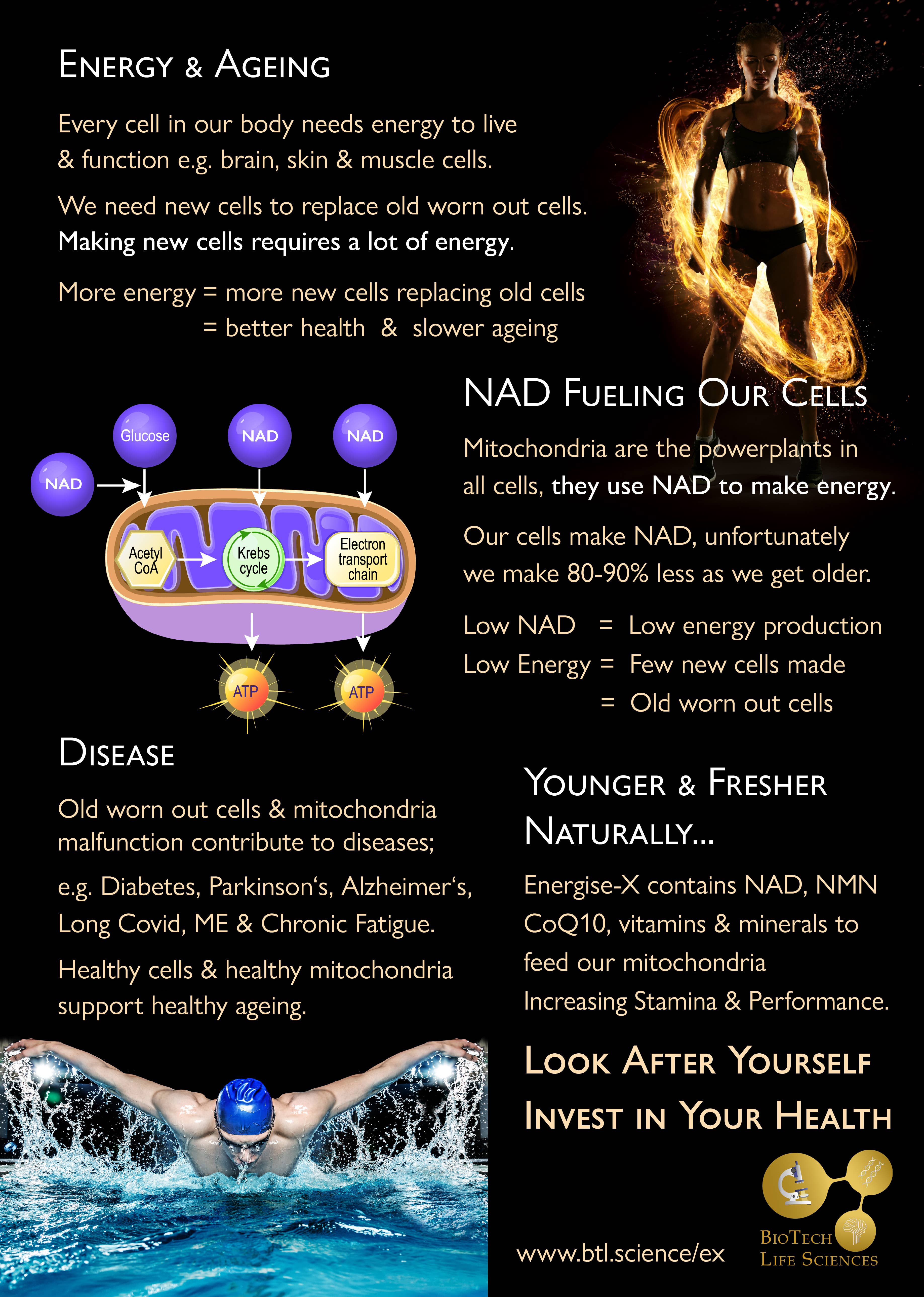 BioTech Life Sciences - Venta al por mayor Suplementos/vitaminas para beber - Cápsulas de NMN Resveratrol CoQ10 vitaminas de Té Verde: Energise-X6