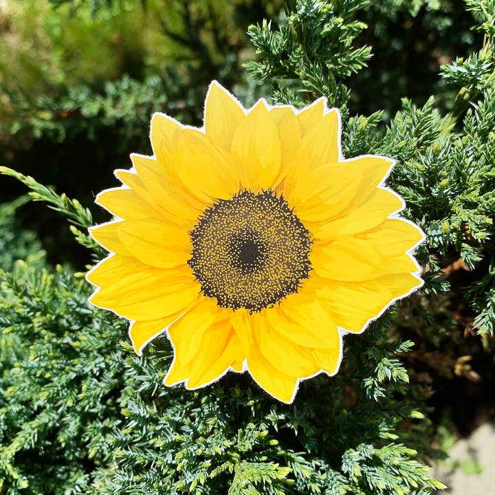 Sunflower Sticker for engroshandel hos All Things Scarlett