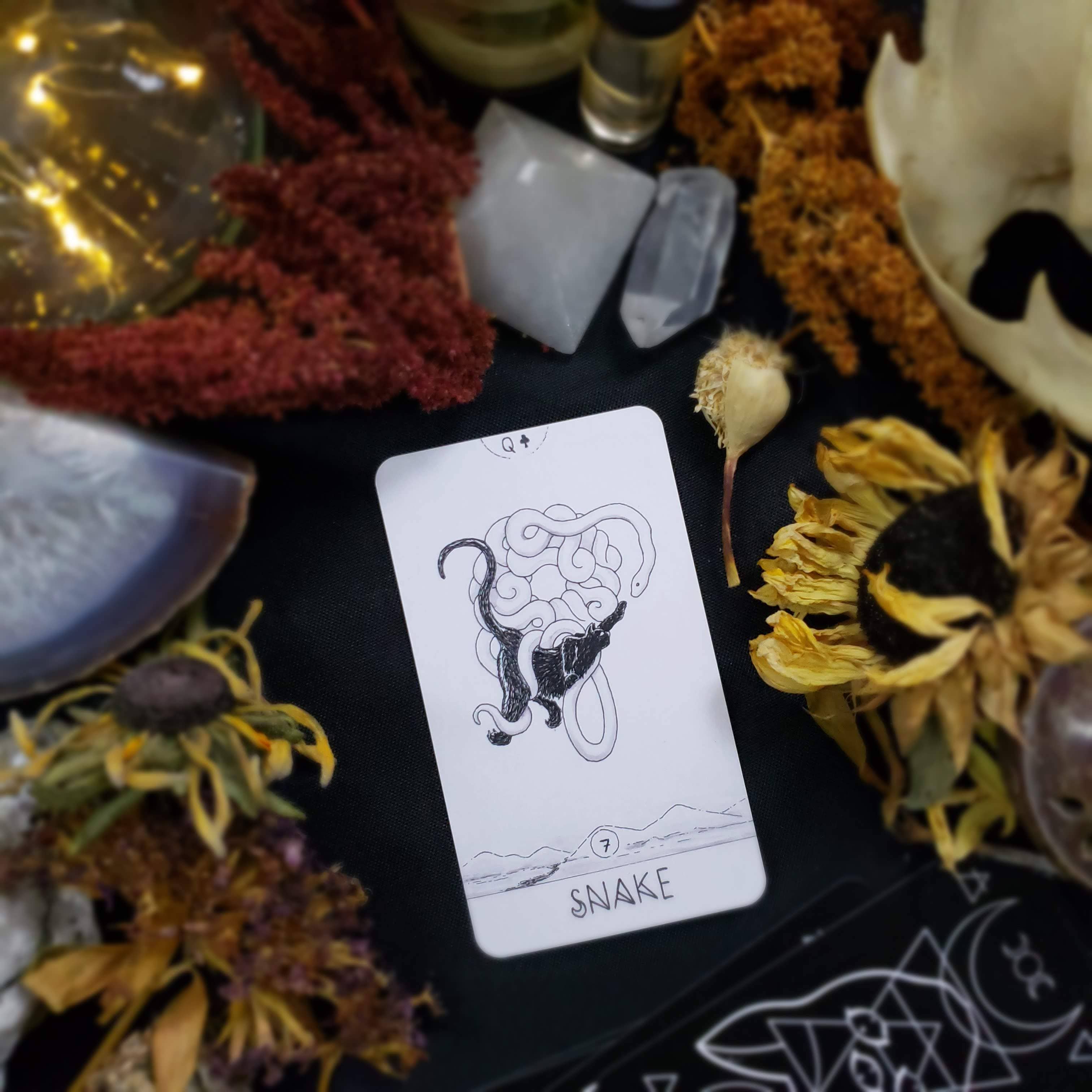 Black Cat Oracle Cards - Wholesale Tarot Cards - Black Cat Lenormand Cards2