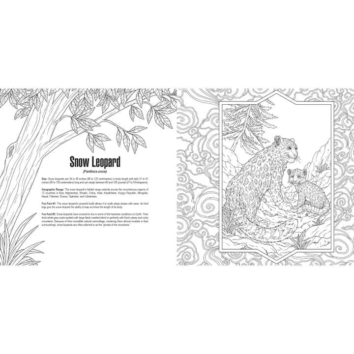 Penguin Random House LLC - Wholesale Coloring Book - Kids & Baby - Cats: A Smithsonian Coloring Book