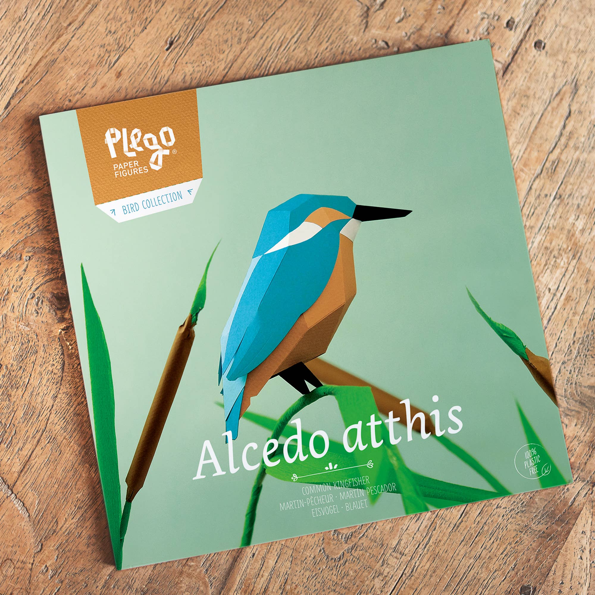 PLEGO - Vente Kit de bricolage - ALCEDO ATTHIS - oiseau en papier5