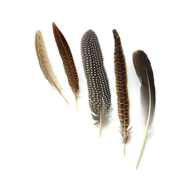 Assorted Guinea and Goose Rounds Quill & Pheasant Tails for wholesale by Zucker Feather Products