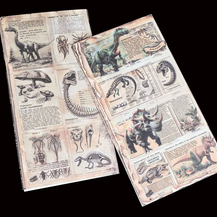 CoraCreaCrafts - Wholesale Scrapbook - Dinosaurs Encyclopedia Papers