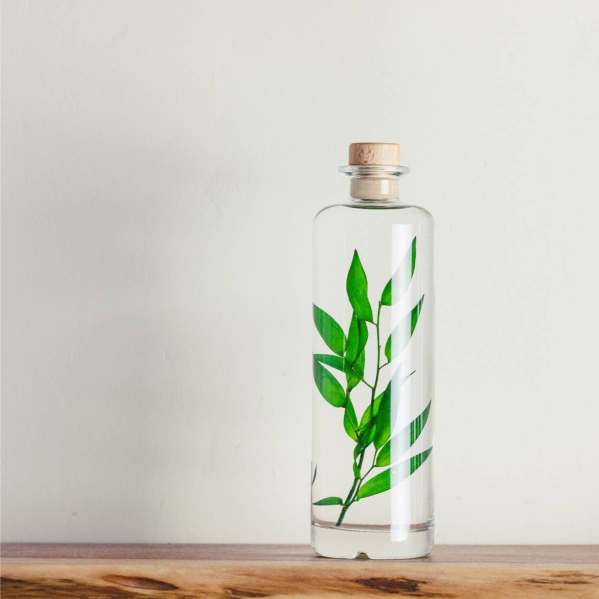 Theophile Berthon - Vente Plante - L'Herbarium Ruscus vert - plante immergée2