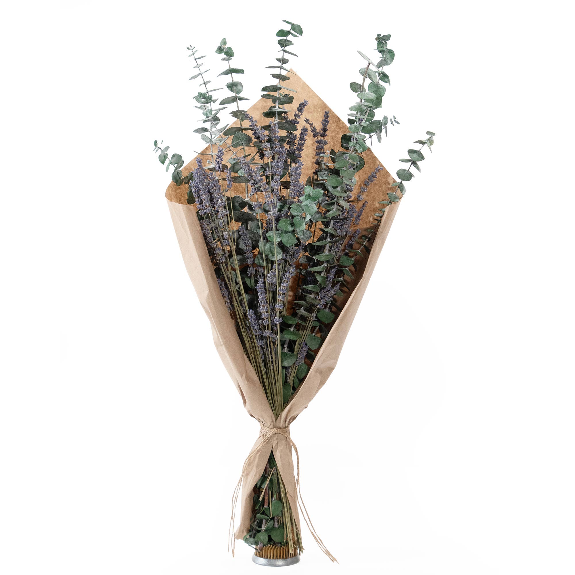 Andaluca - Wholesale Dried/Pressed Flowers - Baby Eucalyptus and Lavender Bouquet #1976