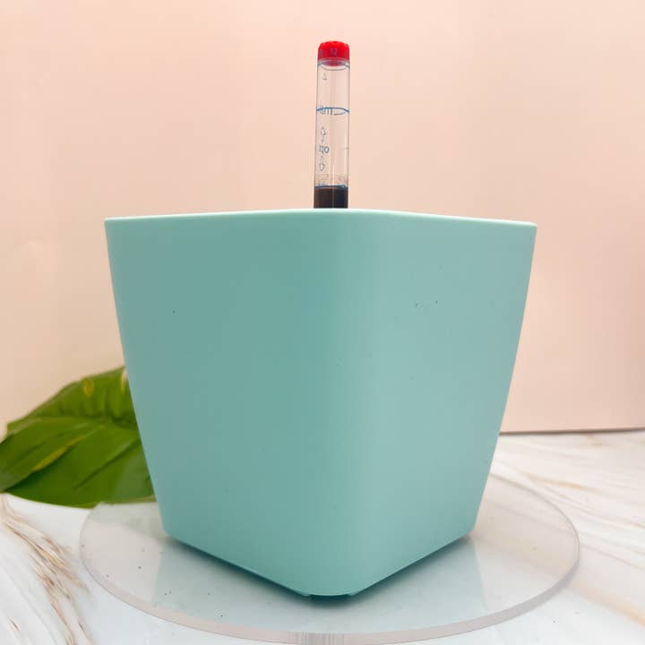 Propagation Diaries - Wholesale Plant Pot - 6" Self Watering Moo Pot4