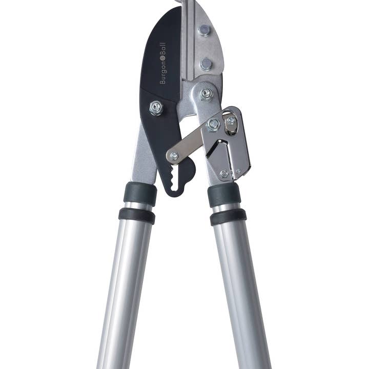 RHS Telescopic Handled Ratchet Lopper for wholesale by Burgon and Ball EU