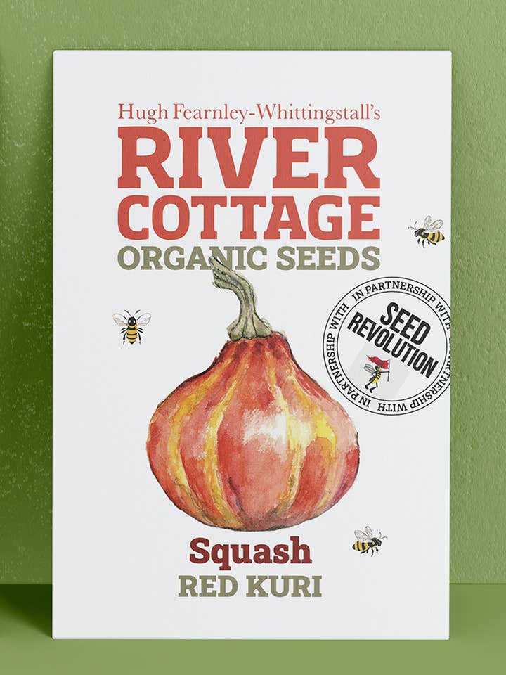 Organic Squash Seeds Red Kuri | River Cottage for wholesale by Seed Revolution