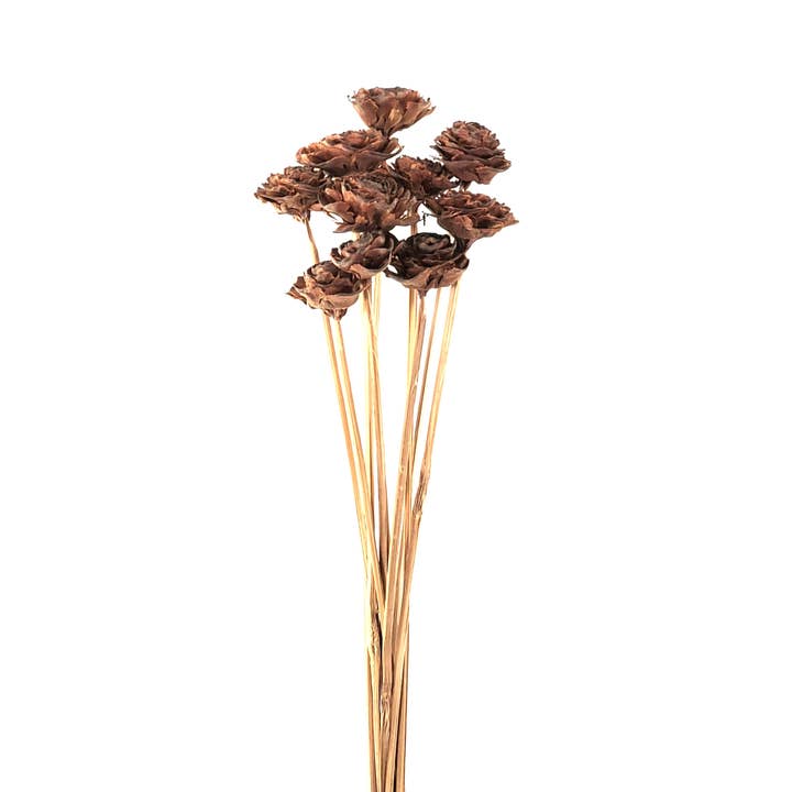 Natural Cedar Roses for wholesale on Faire