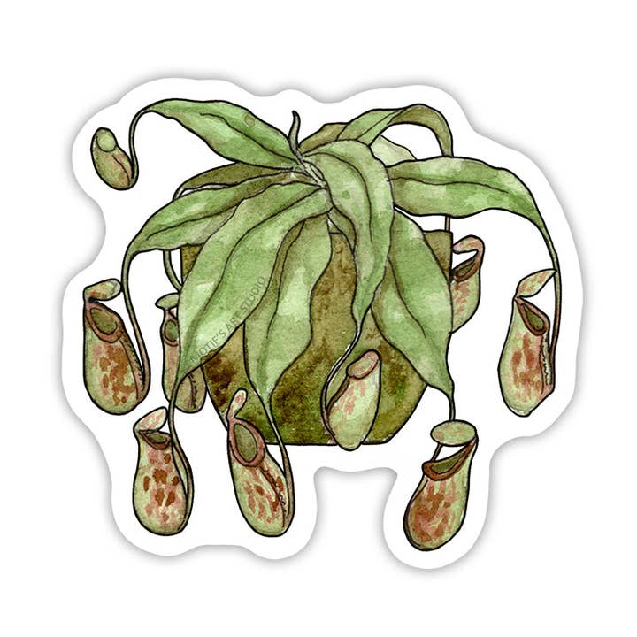 Autocollant Pitcher Plant pour la vente par Motif's Art Studio