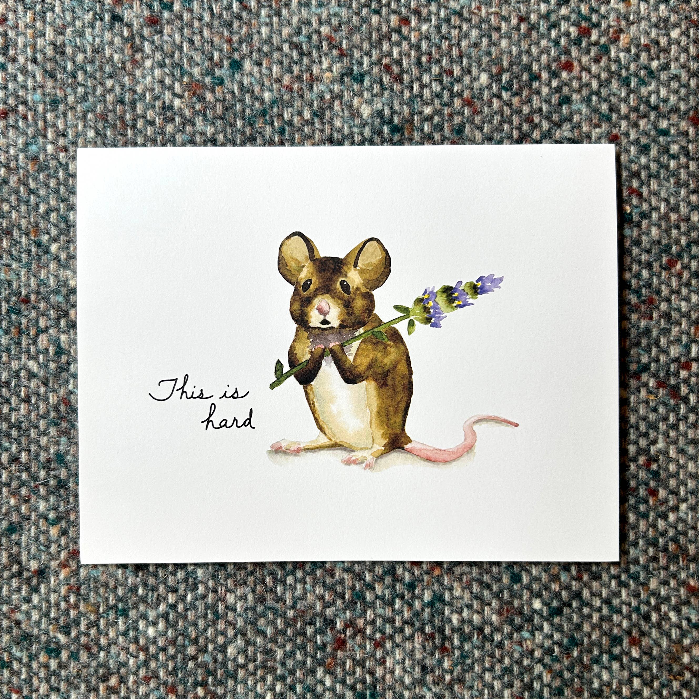 Fresh Fish - Wholesale Sympathy Card - John Dory Greeting Card - Field Mouse and Lavender- Sympathy3