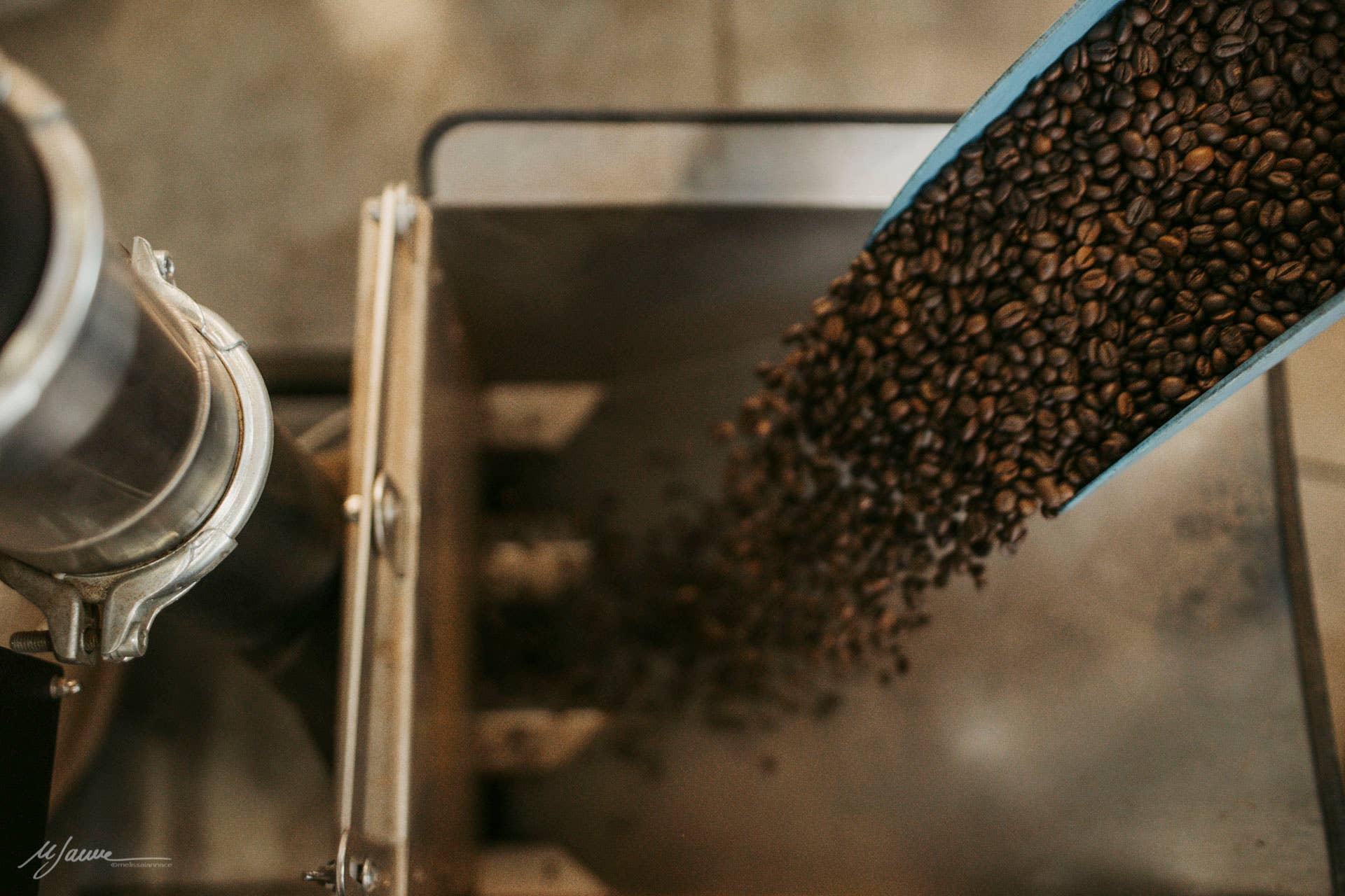 Cafe srls - Vente Grains de café - PASSION Café italien classique en grains torréfiés, 250 g7