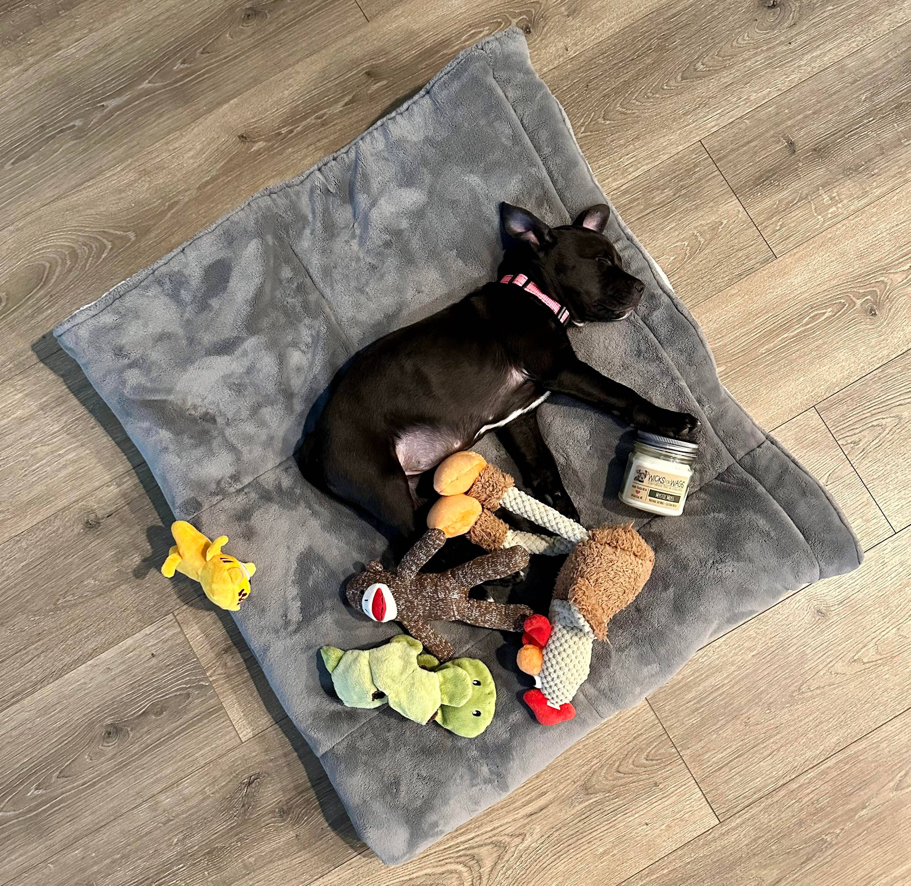 Wicks for Wags – wholesale Jar/filled candle – Sweet Cream + Cardamom | Mason Jar Soy Candle 4