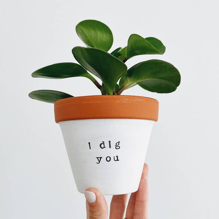 I dig you, hand stamped clay planter (Copy) (Copy) for wholesale by Rally & Roots