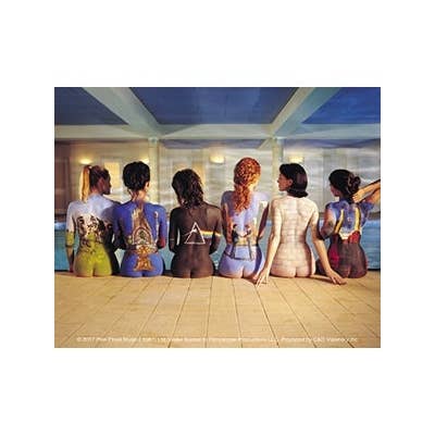 Gypsy Rose - Wholesale Sticker - Pink Floyd Back Catalog Sticker