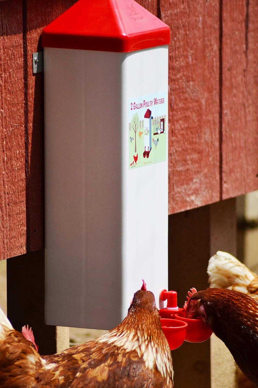 RentACoop - Wholesale Pet Supplement - Not Cat/Dog - 2 Gallon Chicken Waterer with Auto-Fill Cups2