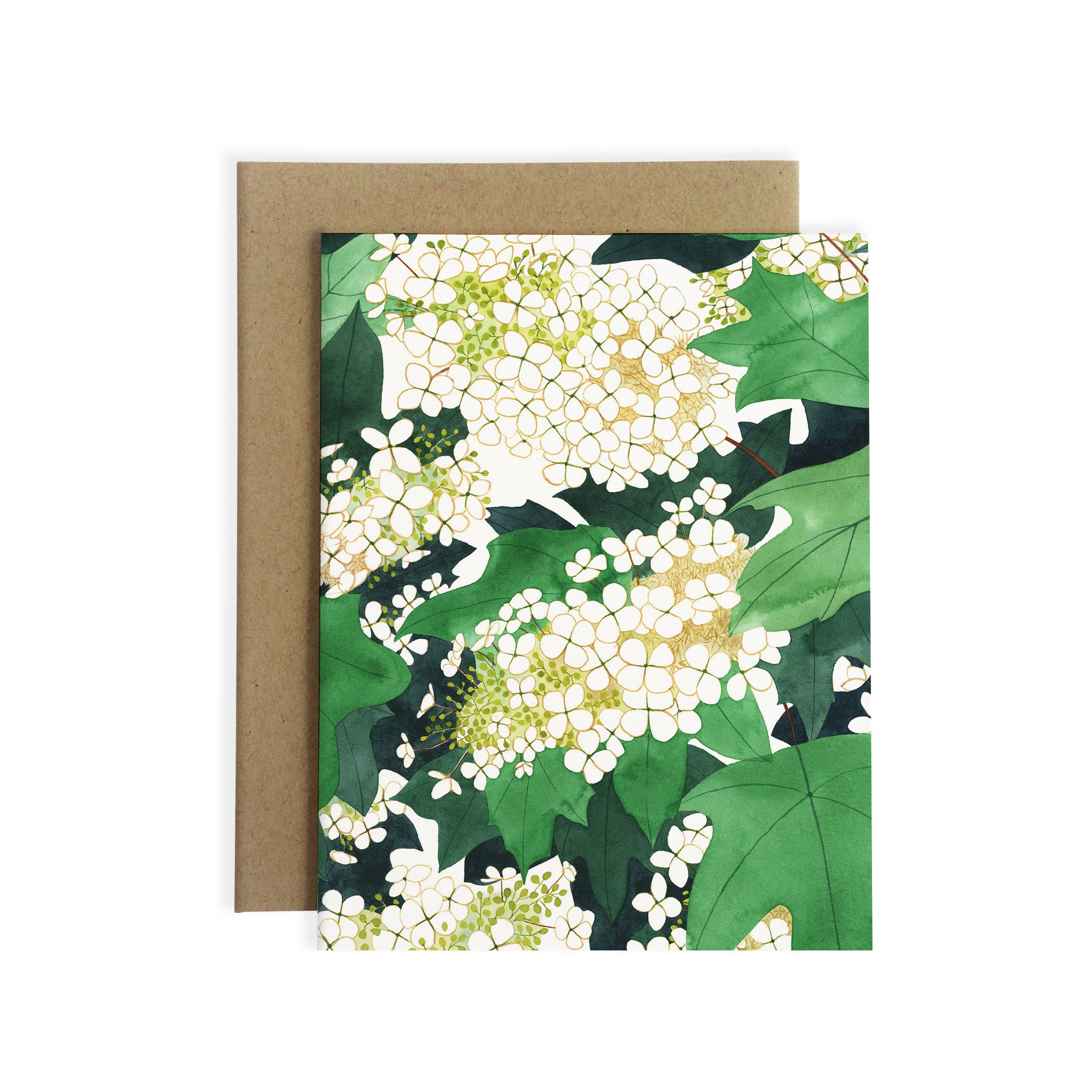 May We Fly - Wholesale Stationery/Notecard Set - Oakleaf Hydrangea Greeting Card - Box Set of Eight1