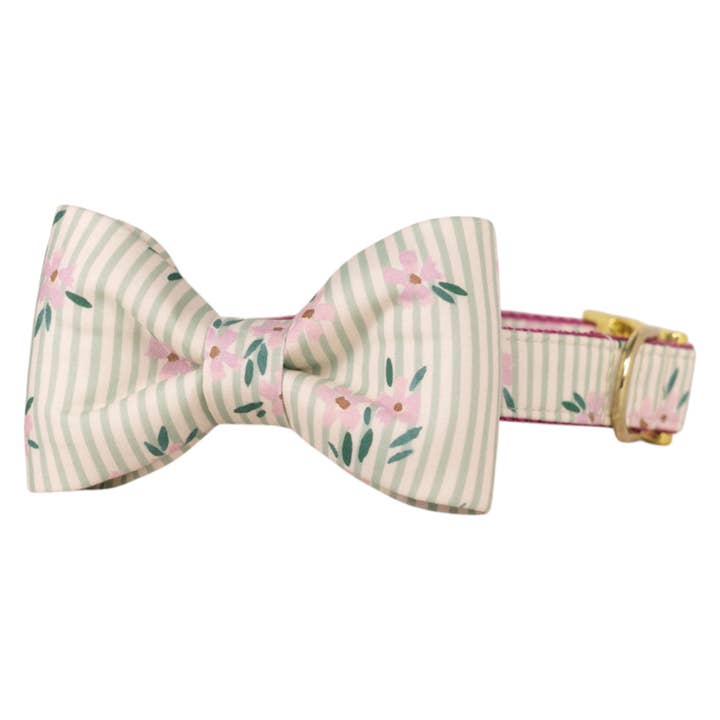 Vineyard Bloom Bow Tie Dog Collar for wholesale by Crew LaLa