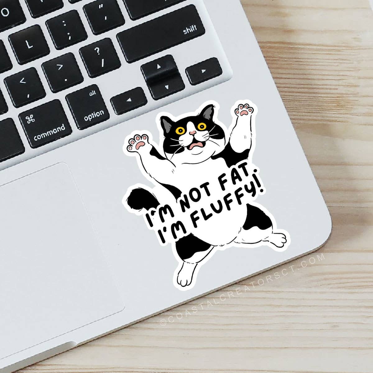 Coastal Creators of Connecticut - Wholesale Sticker - I'm Not Fat. I'm Fluffy Cat Laptop Water Bottle Sticker2