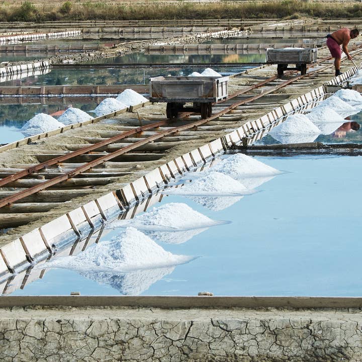 Muse Celtic Minerals LLC - Wholesale Salt - Celtic Sea Salt Sel Gris Bulk 10lb private label2