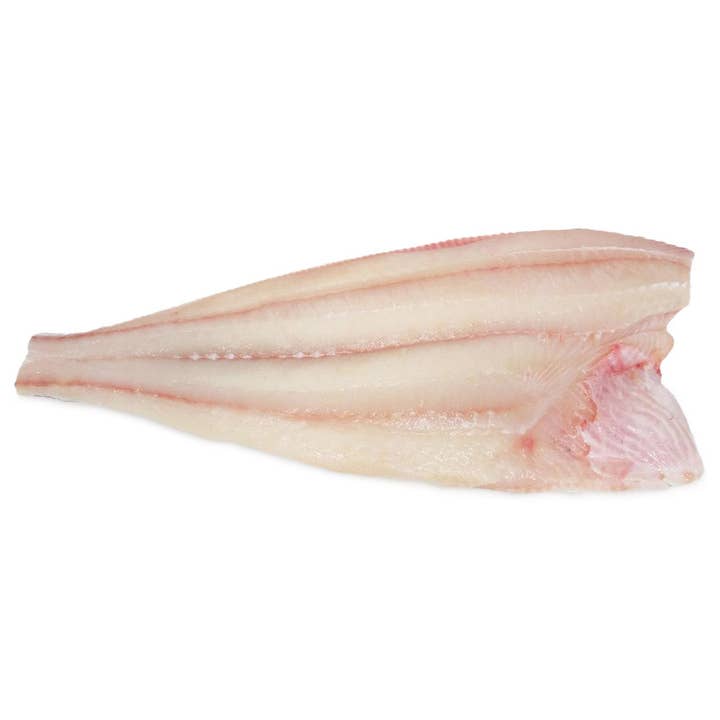 Fresh Halibut Fillet with Skin Off for wholesale by Onatru Foods
