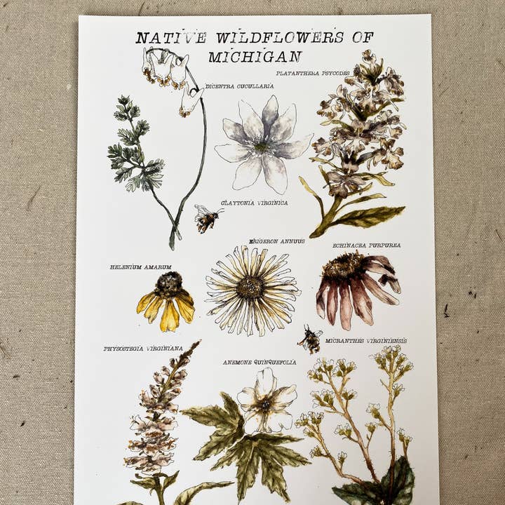 Impression 'Fleurs sauvages indigènes du Michigan' pour la vente par Madison Memering (mamemering)