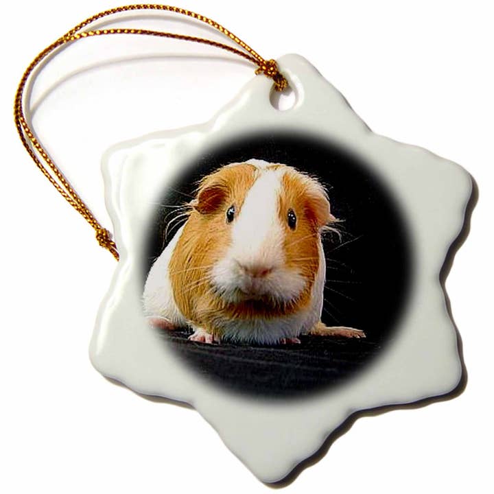 3dRose - Wholesale Ornament - 3 inch Snowflake Porcelain Ornament Guinea Pig