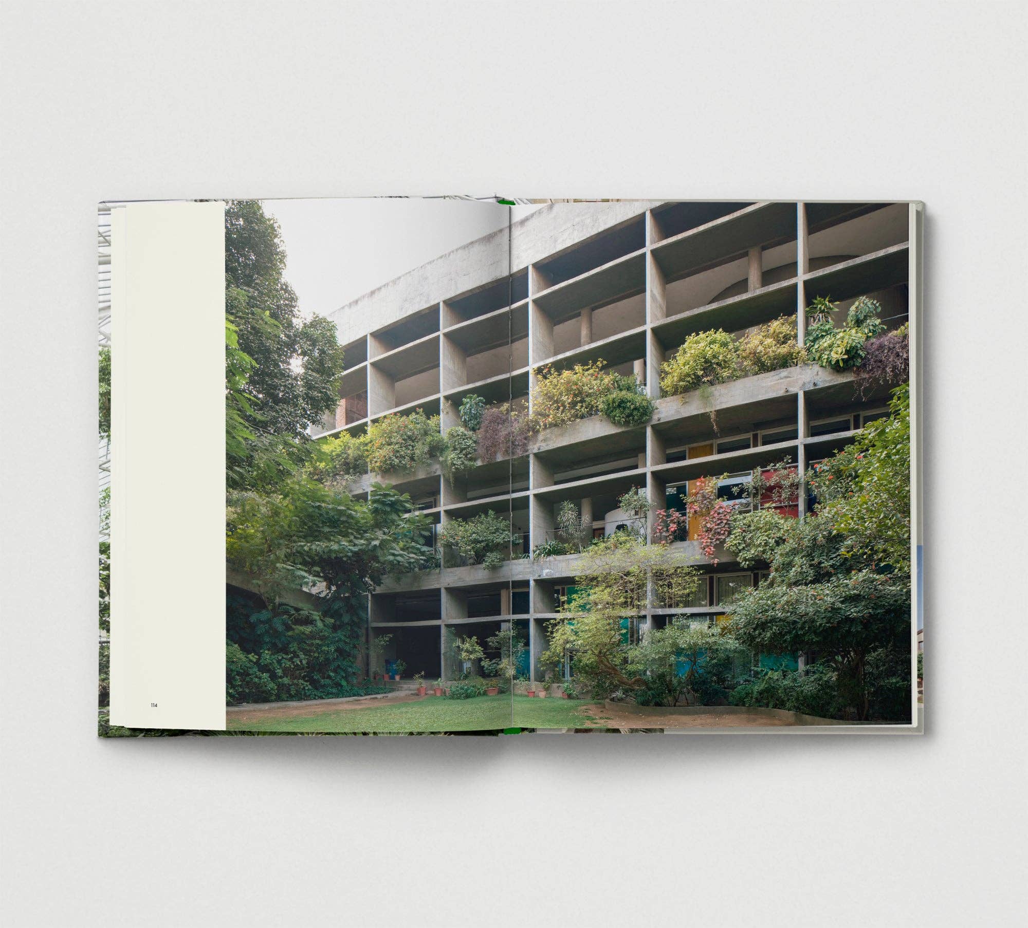 Hoxton Mini Press - Wholesale Nature and outdoors - Brutalist Plants7