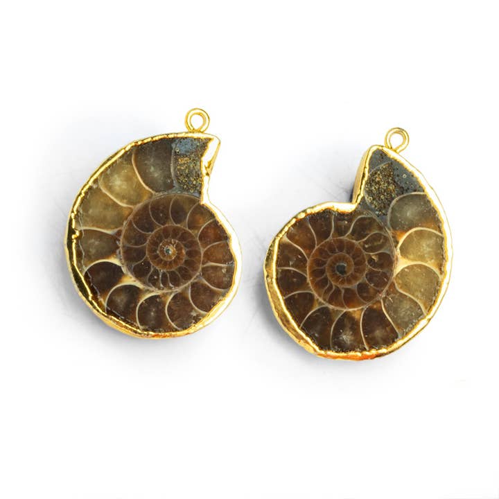 30mm Gold Leafed Ammonite Pendants 2 Beads for wholesale by The Bead Traders