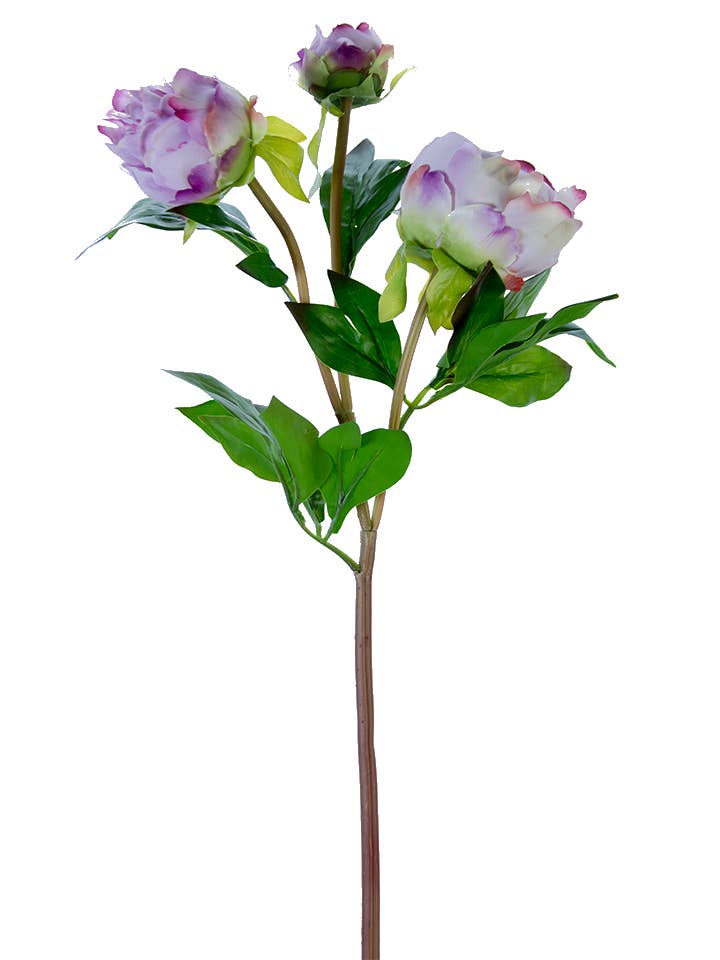 American Best - Vente Fleurs artificielles - Bourgeons de pivoine FRESH TOUCH de 28"6