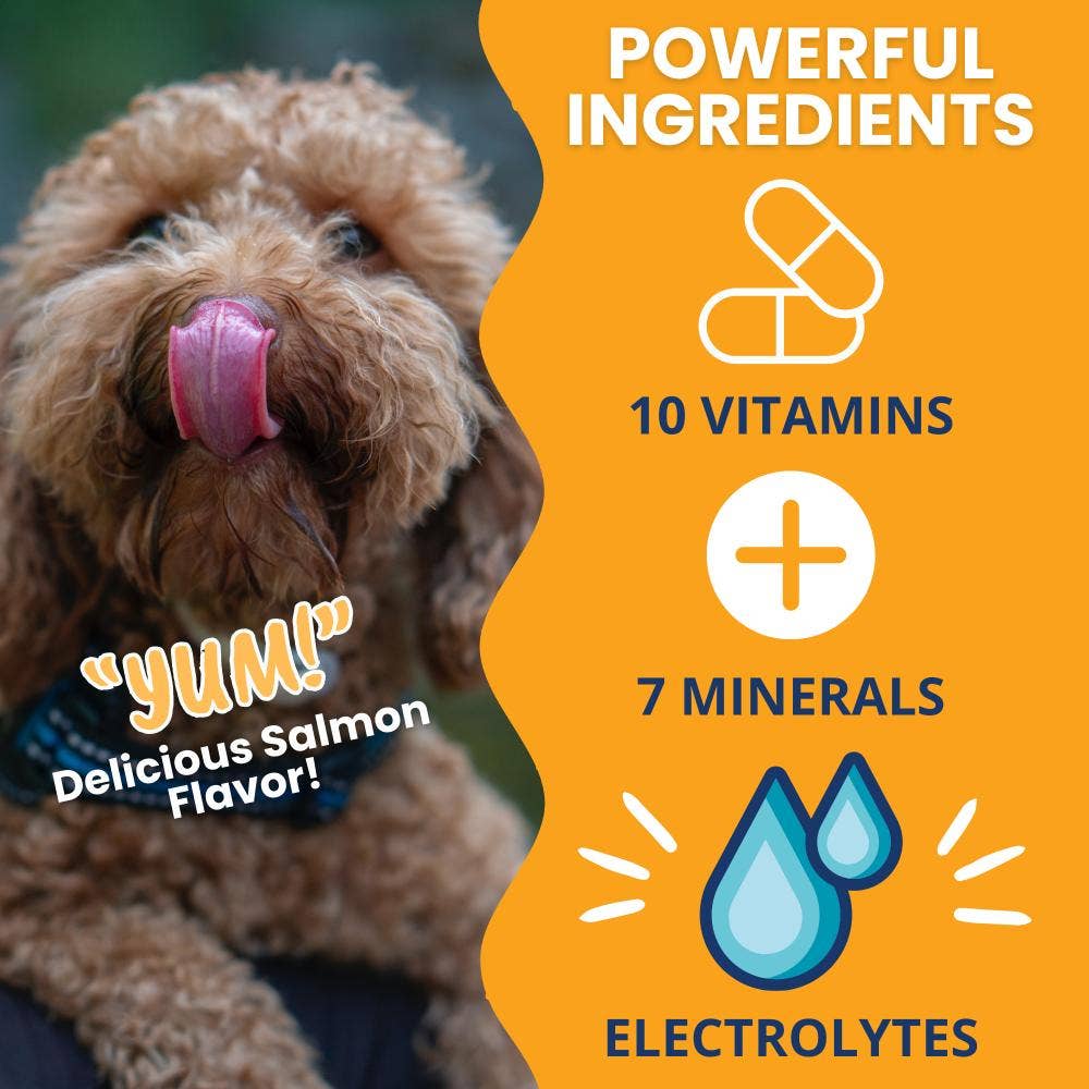 Pet Palette Distribution - Wholesale Pet Supplement - Dog - Under the Weather Ready Cal Plus w/Electrolytes Squeezable2