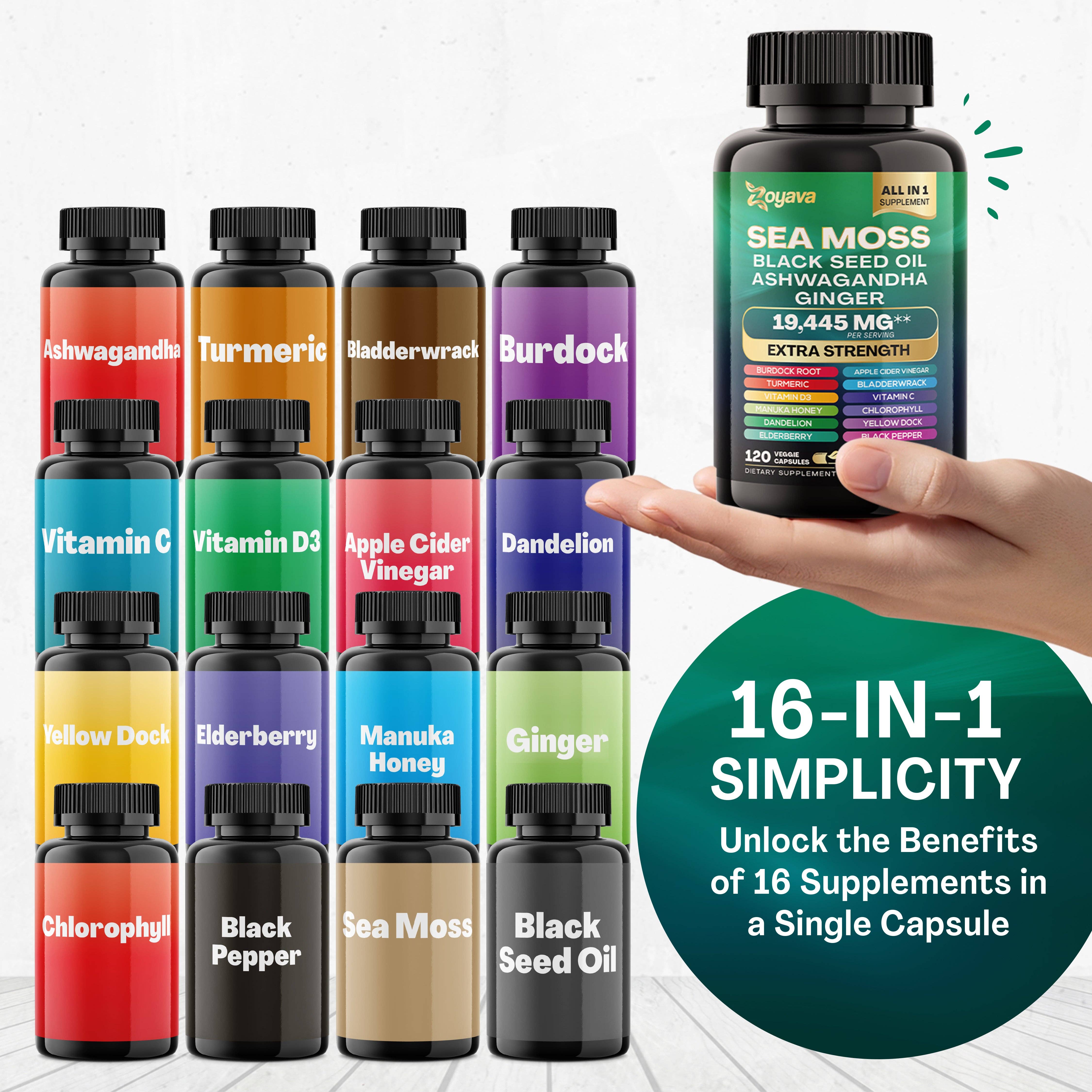 Zoyava – Großhandel Nahrungsergänzungsmittel/Vitamin zum Einnehmen – Sea Moss 16-in-1 Magic Moss Super Blend – 19.445 mg10