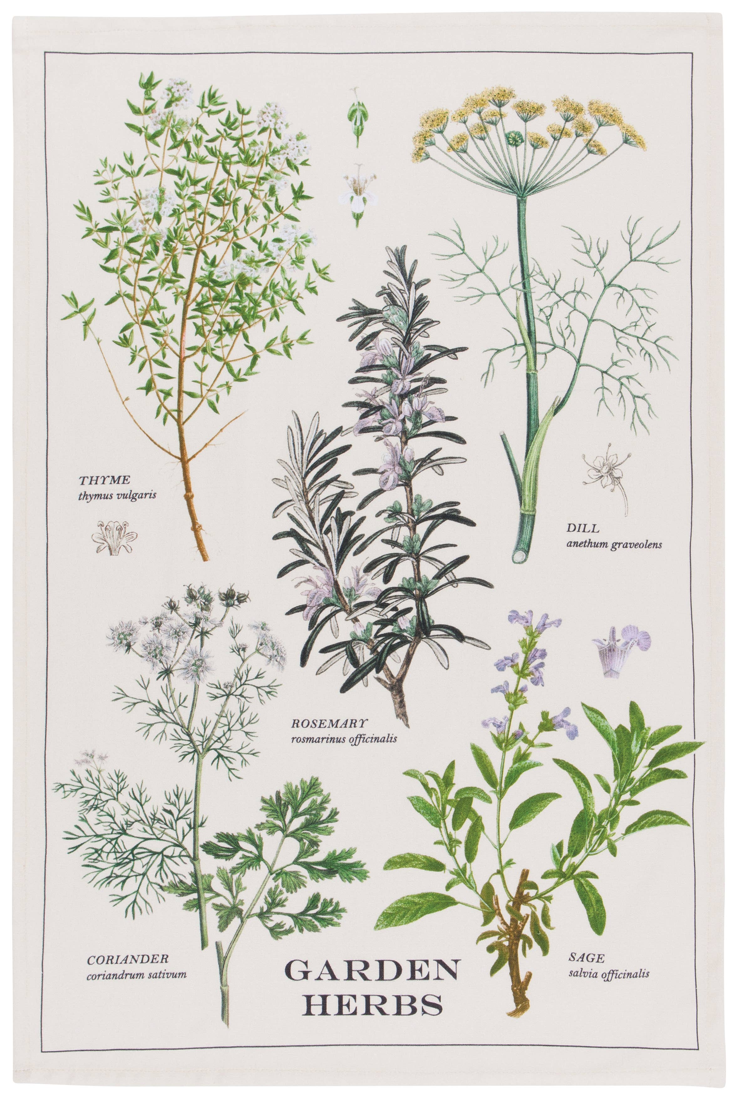Now Designs by Danica - Wholesale Tea Towel - Garden Herbs Dishtowel3