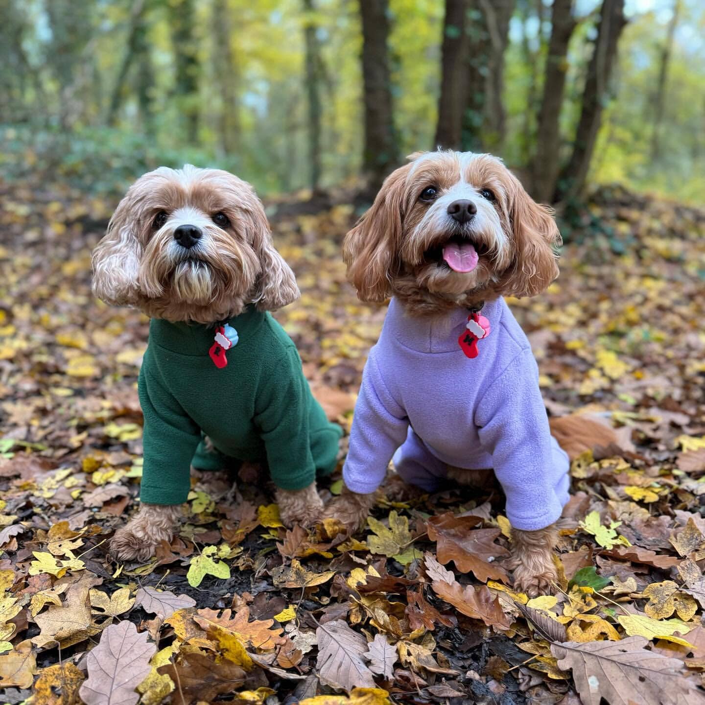 Pet Wiz - Vente Pull – chien - Pull polaire quatre pattes pour chien - Large choix de tailles et couleurs5